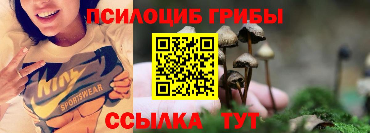 Галлюциногенные грибы мухоморы  Вход с VPN  где купить наркотик  Псилоцибиновые грибы Psilocybine cubensis  Чебаркуль 